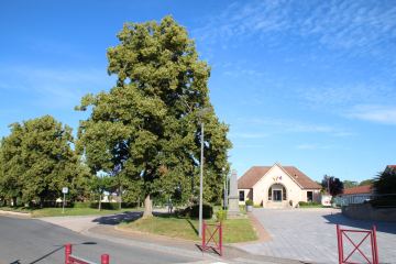 Fléchettes