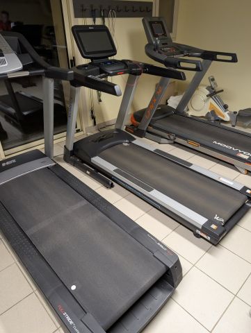 Musculation dames
