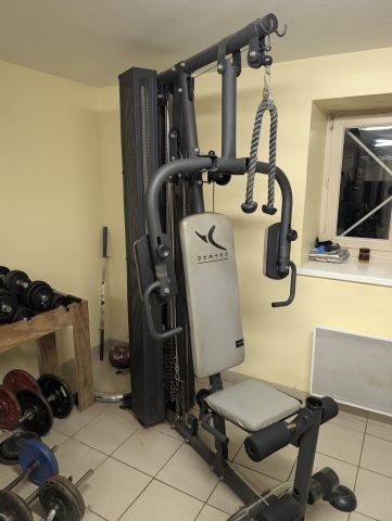 Musculation dames
