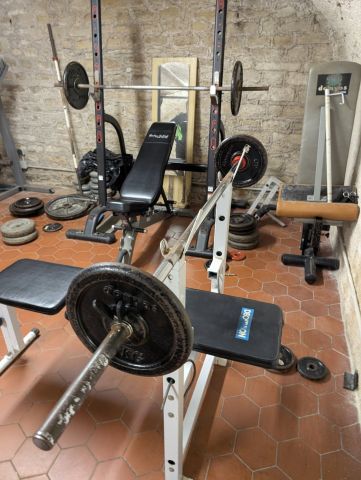 Musculation dames