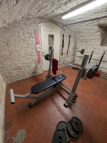 Musculation dames