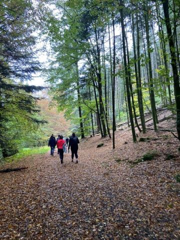 Marche